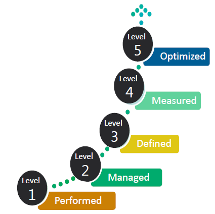 DMM 数据管理能力成熟度等级